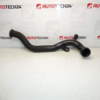 Vloeibare pompslang 1