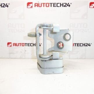 De rechter achterdeur stoppen EWPB Citroen C3 Picasso 9035FN